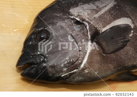 條紋喙魚臉 92032143