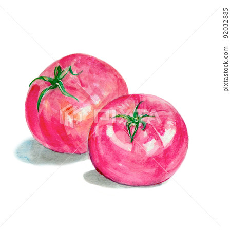 Tomato Tomato 92032885