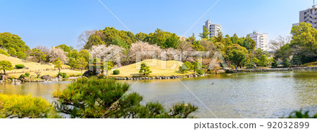 日本庭園全景與櫻花“觀光景點:水前寺成住園” 日本庭園全景與櫻花“觀光景點:水前寺成住園” 92032899