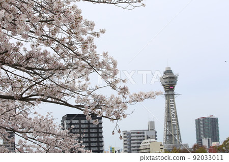 Tennoji Park Sakura Tennoji Park Sakura Abeno Harukas Kawazokoike Tenshiba Wakebashi Tsutenkaku Somei Yoshino 92033011