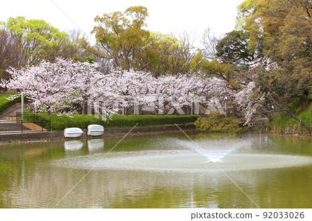 Tennoji Park Sakura Tennoji Park Sakura Abeno Harukas Kawazokoike Tenshiba Wakebashi Tsutenkaku Somei Yoshino 92033026