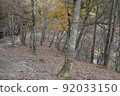 Mountain trail with fallen leaves after autumn leaves 92033150