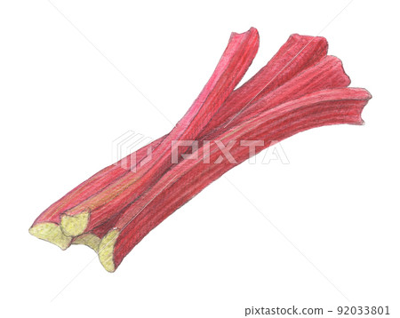 Rhubarb watercolor pencil illustration background transparent 92033801