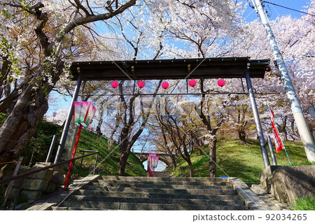 Cherry blossoms in full bloom Sakura Sakura Eboshiyama Park 92034265