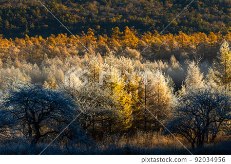 [Tochigi Prefecture, Oku-Nikko] Odashirogahara in late autumn October / November 92034956