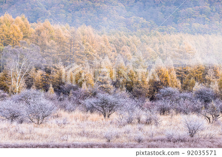 [Tochigi Prefecture, Oku-Nikko] Odashirogahara in late autumn October / November 92035571