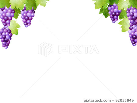 水平紫色葡萄架 水平紫色葡萄架 92035949