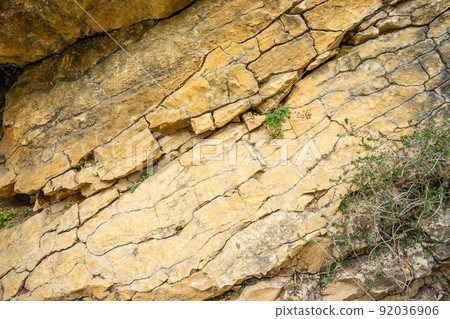 Background texture of a cracked rock with green plants in a natural park  92036906