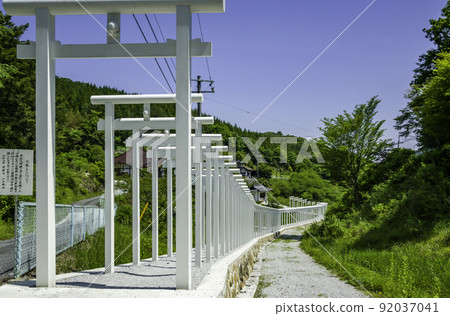 Saidoji Temple Senbon Torii, Niimi City, Okayama Prefecture 92037041