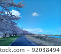 排櫻桃樹 92038494