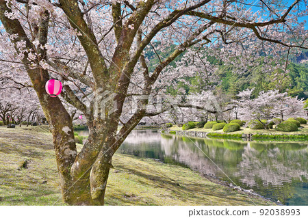 [櫻花盛開，下北山運動公園 Kinari no Sato] 奈良縣吉野區下北山村上池原 92038993