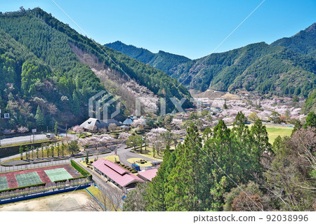 [Sakura in full bloom, Shimokitayama Sports Park Kinari no Sato] Kamiikehara, Shimokitayama Village, Yoshino District, Nara Prefecture 92038996