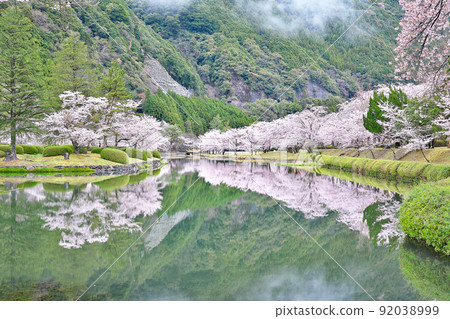 [櫻花盛開，下北山運動公園 Kinari no Sato] 奈良縣吉野區下北山村上池原 92038999