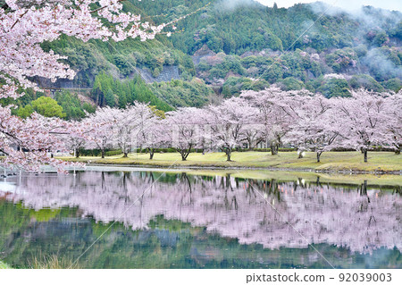 [櫻花盛開，下北山運動公園 Kinari no Sato] 奈良縣吉野區下北山村上池原 92039003