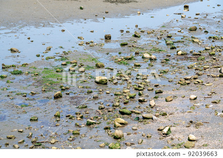 The sea where the tide has drawn The sea where the tide has drawn 92039663