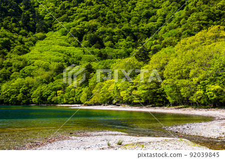 [Tochigi Prefecture Oku-Nikko] Senjugahama on the west bank of Lake Chuzenji 92039845