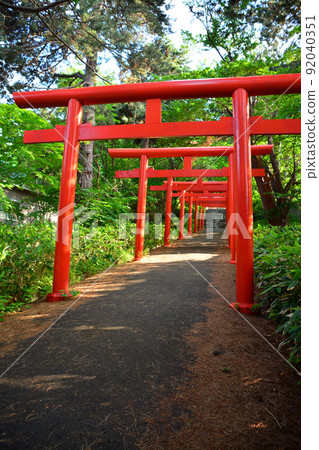 The divine Sapporo Fushimi Inari Shrine 92040351