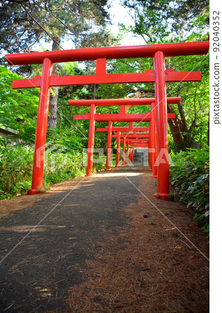 The divine Sapporo Fushimi Inari Shrine The divine Sapporo Fushimi Inari Shrine 92040352