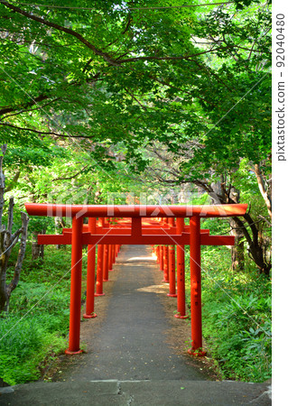 The divine Sapporo Fushimi Inari Shrine The divine Sapporo Fushimi Inari Shrine 92040480