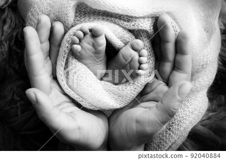 The palms of the parents. A father and mother hold a newborn baby by the legs. The feet of a newborn in the hands of parents. Photo of foot, heels and fingers. Black and white studio macro photography 92040884
