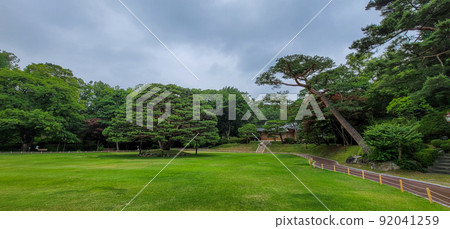 Blue House Green Branch 92041259