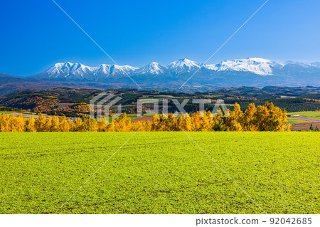 [Asahikawa City, Hokkaido] View from the actual hills Autumn hills October Sunny 92042685