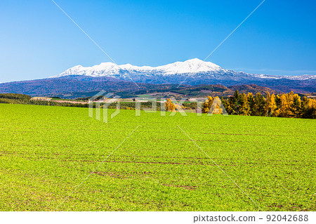 [北海道旭川市]從山上看秋天的山丘十月陽光明媚 92042688