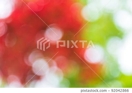 模糊的紅色和綠色彩色背景楓球散景背景 模糊的紅色和綠色彩色背景楓球散景背景 92042866