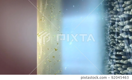 3D illustration Medical of Anatomy of the Eye 92045463