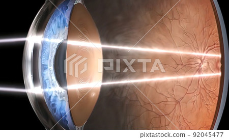 Eye Anatomy - Internal Structure, Medically Accurate Eye Anatomy - Internal Structure, Medically Accurate 92045477
