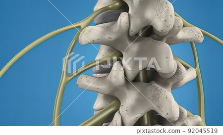 3D illustration of the spinal cord on blue background. Endoscopic lumbar discectomy 92045519