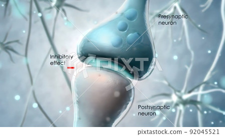 Synaptic transmission, human nervous system. Synaptic transmission, human nervous system. 92045521