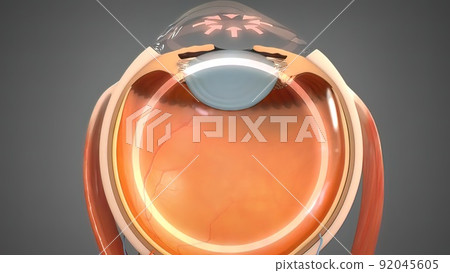 Green Eye of Child Looking at Camera Close Up. Macro Shot Opening Green Eye of Child Looking at Camera Close Up. Macro Shot Opening 92045605