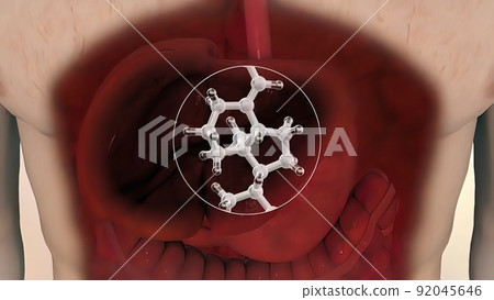 human internal organs.Role of liver on organs human internal organs.Role of liver on organs 92045646