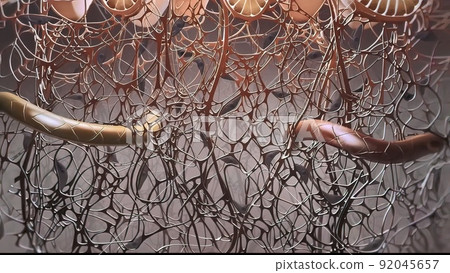 3D Microbiology illustrationof the Mechanisms of fibrosis 92045657