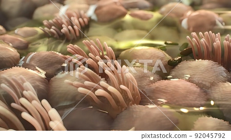 3D Microbiology illustrationof the Mechanisms of fibrosis 92045792