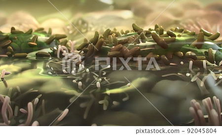 3D Microbiology illustrationof the Mechanisms of fibrosis 92045804