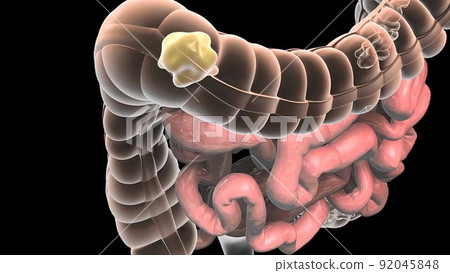 Food moving through the digestive tract Food moving through the digestive tract 92045848