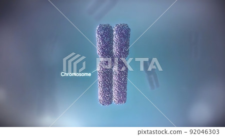 Seamless loop of the components of an eukaryotic cell, nucleus and organelles and plasma membrane Seamless loop of the components of an eukaryotic cell, nucleus and organelles and plasma membrane 92046303