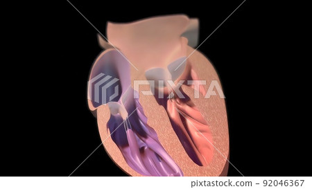 Filling the chamber of the heart with oxygen 92046367