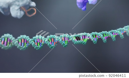 Mechanisms that induce or suppress the expression of a gene 92046411
