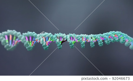 Mechanisms that induce or suppress the expression of a gene 92046673