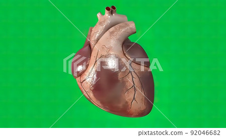 The heartbeat on green screen The heartbeat on green screen 92046682