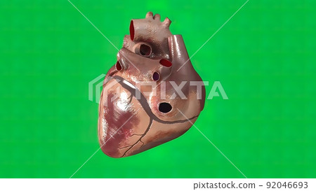 The heartbeat on green screen The heartbeat on green screen 92046693