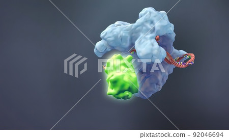 Mechanisms that induce or suppress the expression of a gene Mechanisms that induce or suppress the expression of a gene 92046694