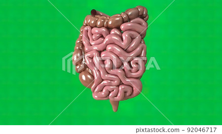 The green background digestive system 92046717