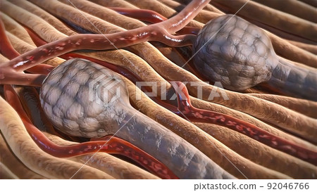 Polysaccharides enables repair of damage to the glycocalyx Polysaccharides enables repair of damage to the glycocalyx 92046766