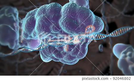 Mechanisms that induce or suppress the expression of a gene 92046802