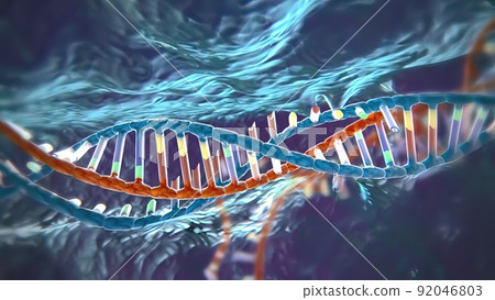 Mechanisms that induce or suppress the expression of a gene 92046803