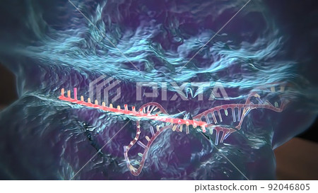 Dna Editing, Repair, Engineering. Extraction Of Segements. Dna Editing, Repair, Engineering. Extraction Of Segements. 92046805
